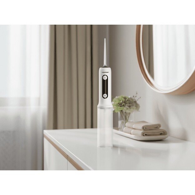 Irigatorius Blaupunkt DIR301 1