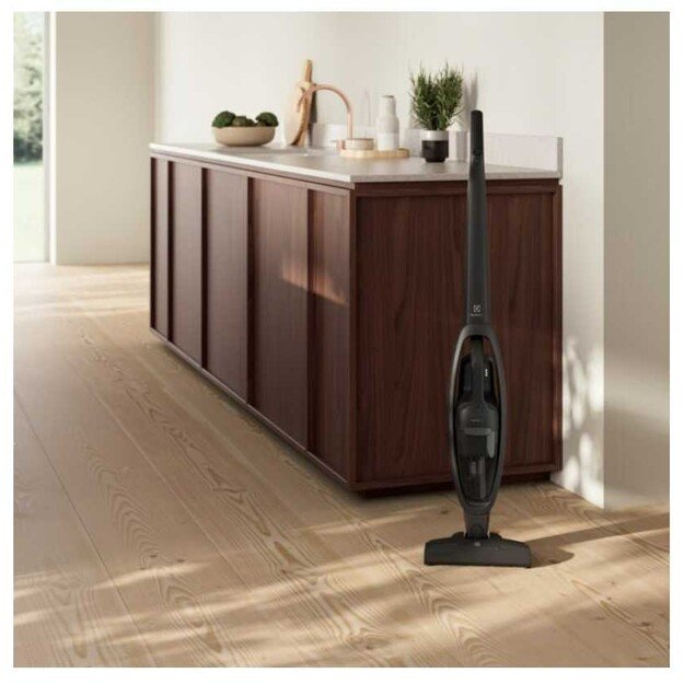 Belaidis dulkių siurblys Electrolux ES31CB18GG 2