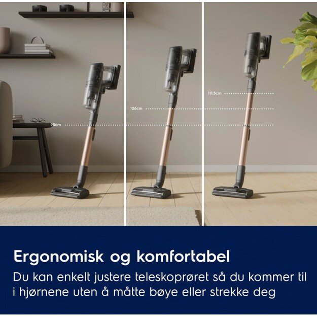 Dulkių siurblys Electrolux EP83UB25SH 12