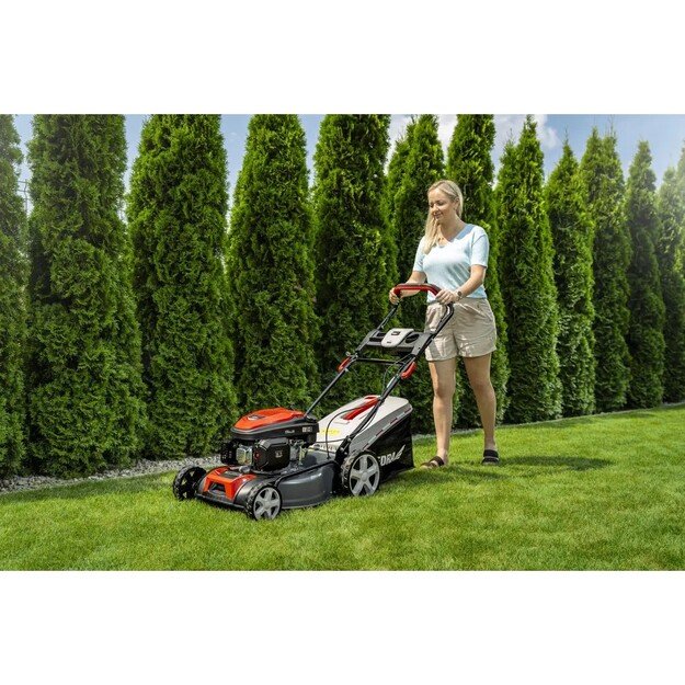 Dedra Benzininė savaeigė žoliapjovė DED8724-46L, 2,7kW, 46 cm 1