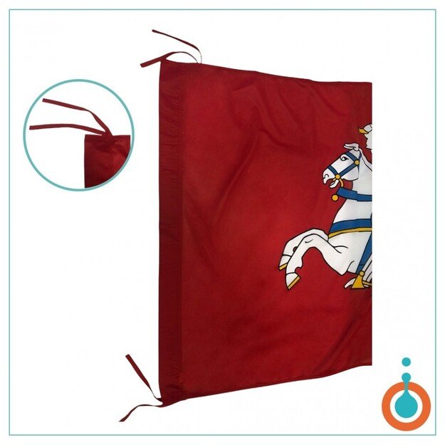 Lietuvos Istorinė vėliava su kišene ir raišteliai 3