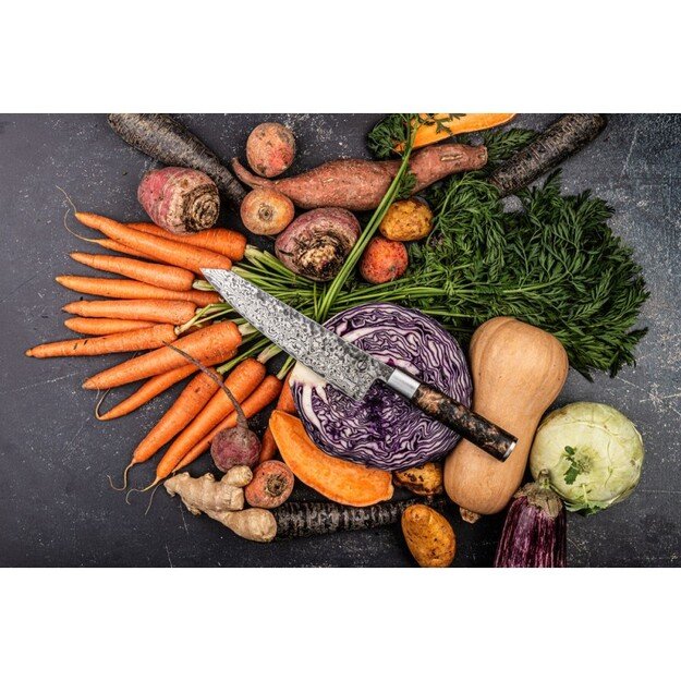 Forged Limited Edition Kiritsuke peilis su dėklu 2