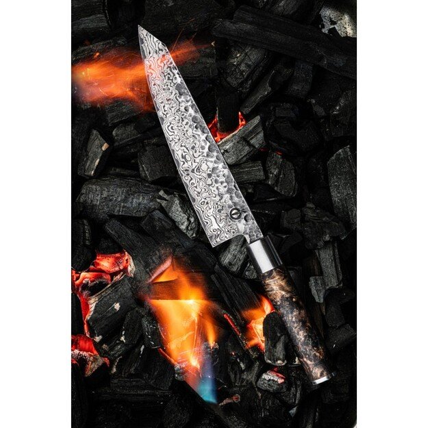 Forged Limited Edition Kiritsuke peilis su dėklu 6