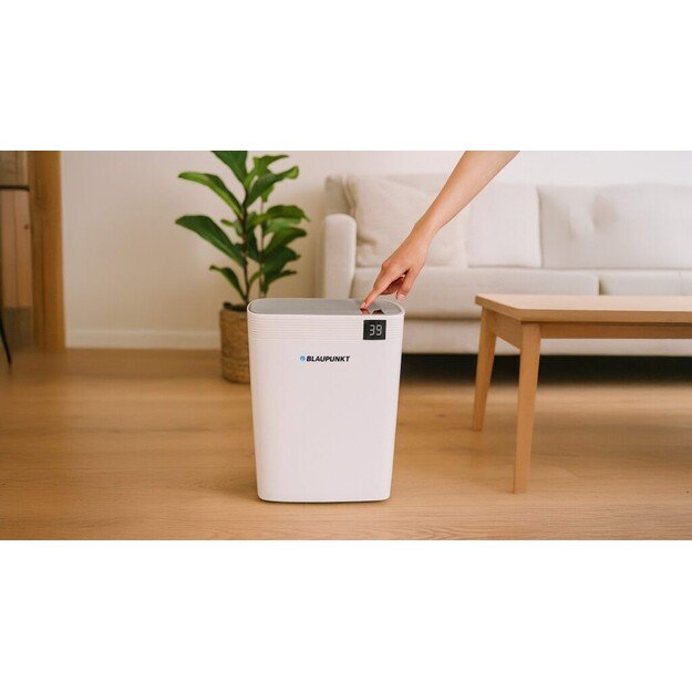 Oro sausintuvas Blaupunkt ADH801 8