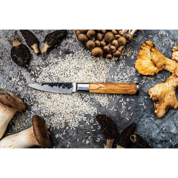 Pjaustymo peilis Forged Olive 8,5 cm 3