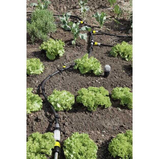 Vandens filtras 2.645-225.0 2