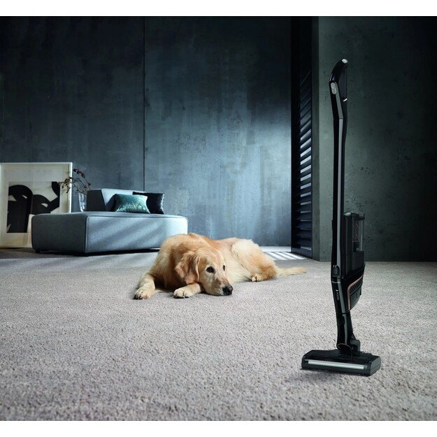 Dulkių siurblys - šluota Miele Triflex HX2 Cat ampDog - SOML0 11806000