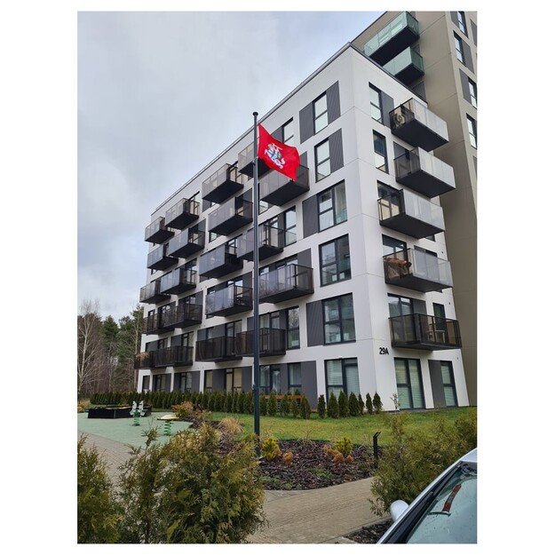 Lietuvos Istorinė vėliava su karabinais 3