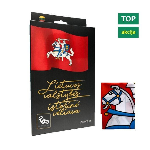 Lietuvos Istorinė vėliava su karabinais