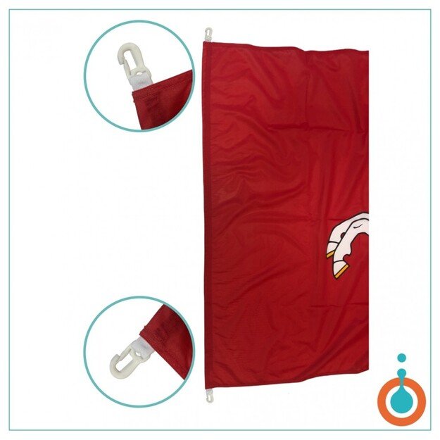 Lietuvos Istorinė vėliava su karabinais 1