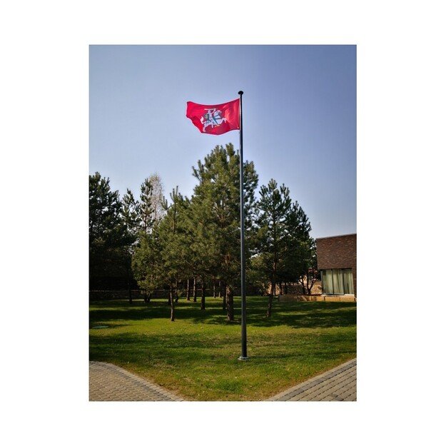 Lietuvos Istorinė vėliava su karabinais 2