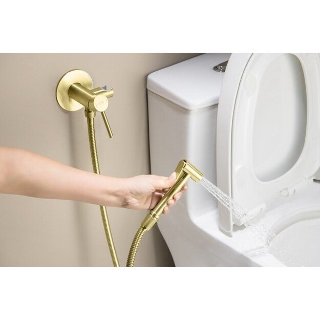 Potinkinis bide maišytuvas su dušeliu BlueWater BOSTON BOS-BBP.040, šlifuoto aukso 1