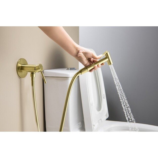 Potinkinis bide maišytuvas su dušeliu BlueWater BOSTON BOS-BBP.040, šlifuoto aukso 2