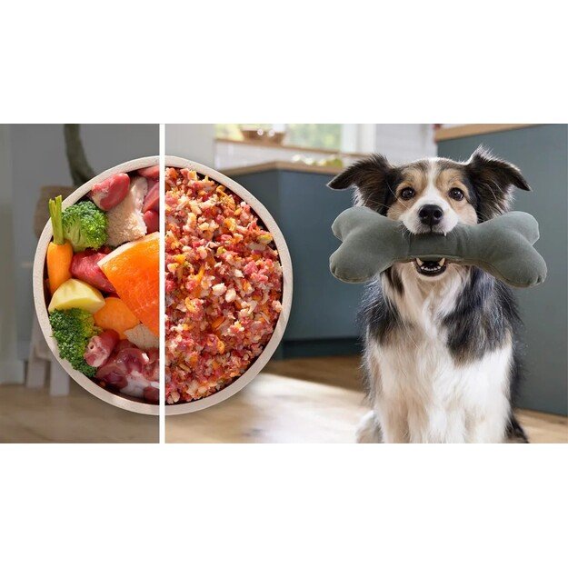 Mėsmalė Bosch MFWS607W 4