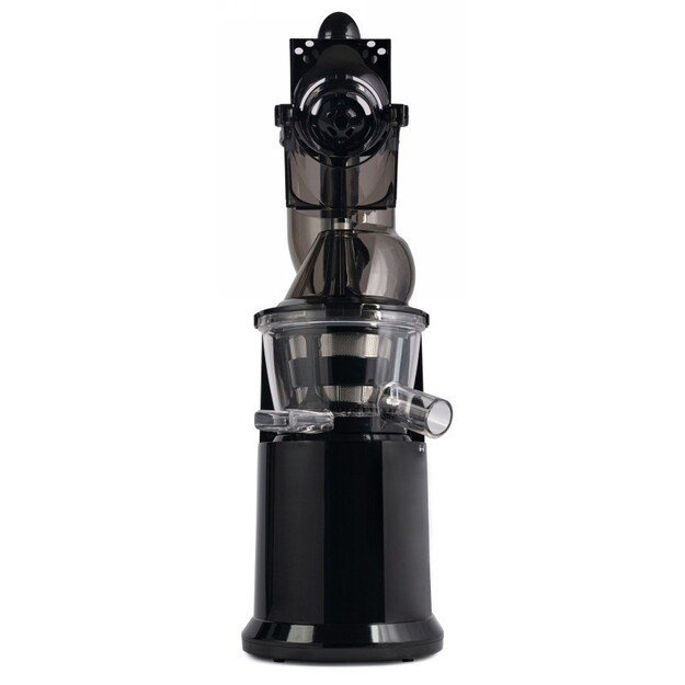 Lėtaeigė sulčiaspaudė Zyle ZY378BSJ, 250 W