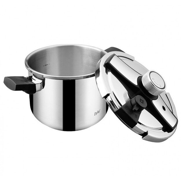 Greitpuodis Zyle ZY24PSC, nerūdijančio plieno, 10 l 1