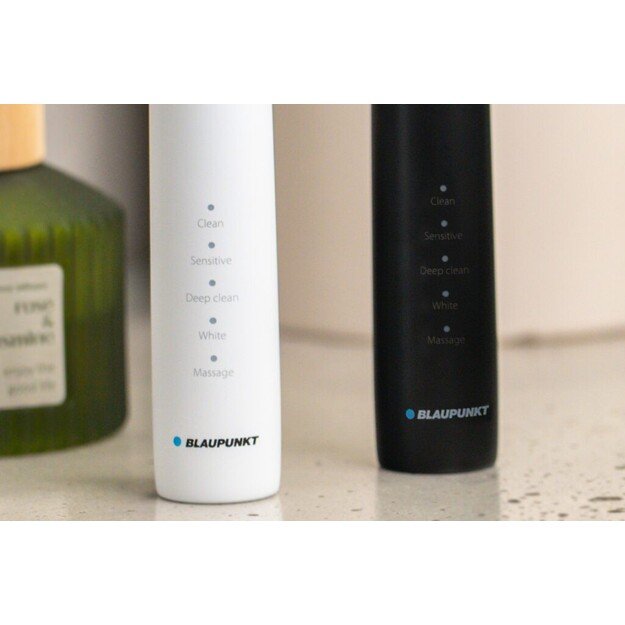 Dantų &scaron;epetėlių rinkinys Blaupunkt DTS201SET 2